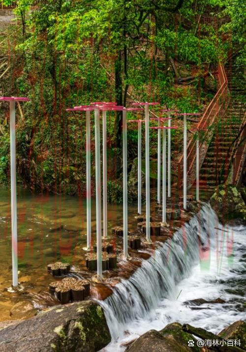 博雅游戏最佳去处在哪玩 博雅游戏最佳去处在哪玩