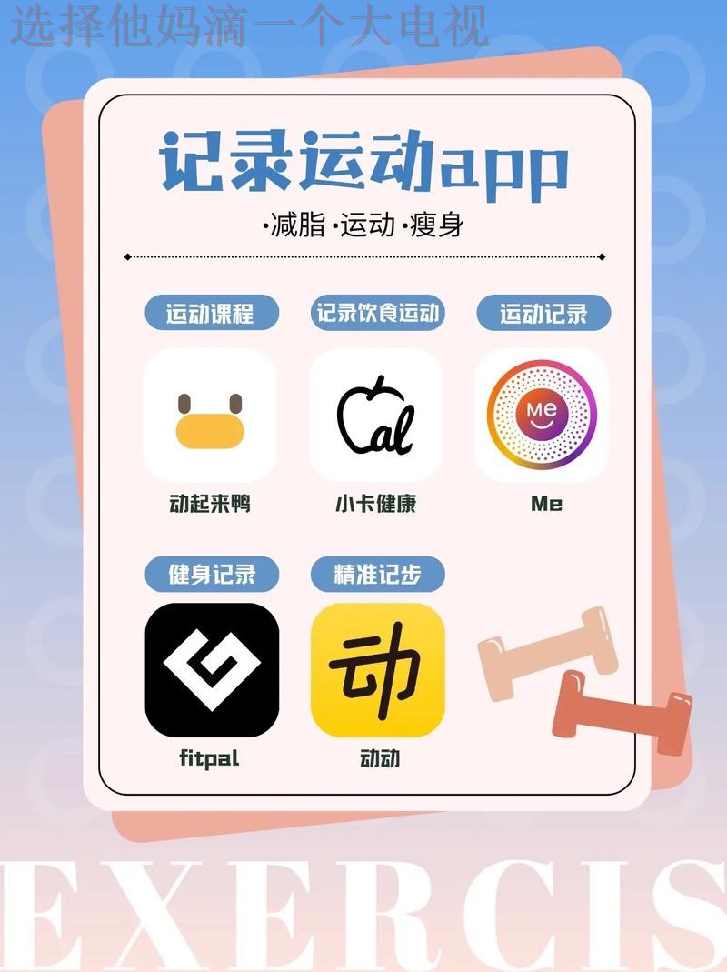 V体育APP苹果版官方下载与用户指南